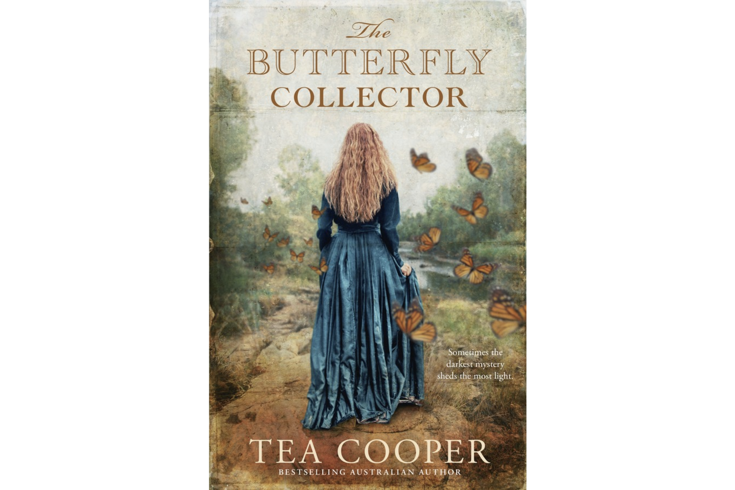 The Butterfly Collector (Tea Cooper)