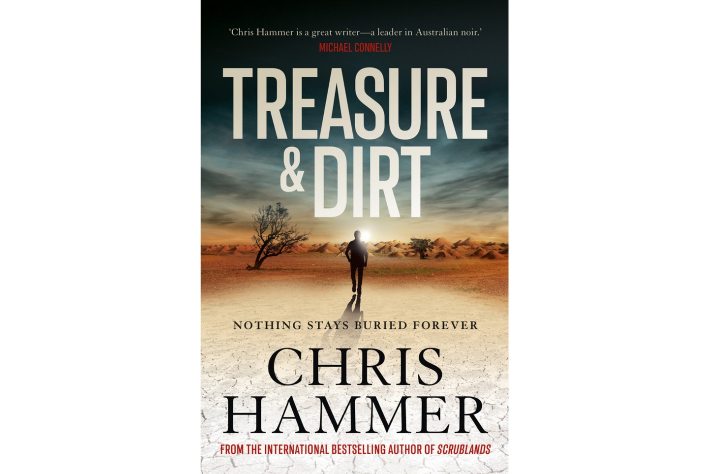 Treasure and Dirt (Chris Hammer)