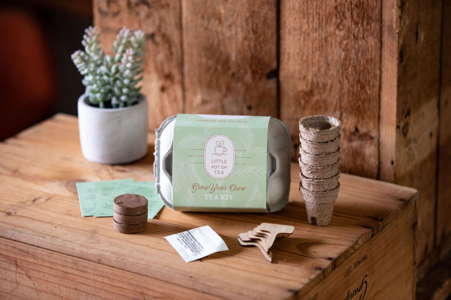 Little Pot of Tea - Grow Your Own Tea Kit