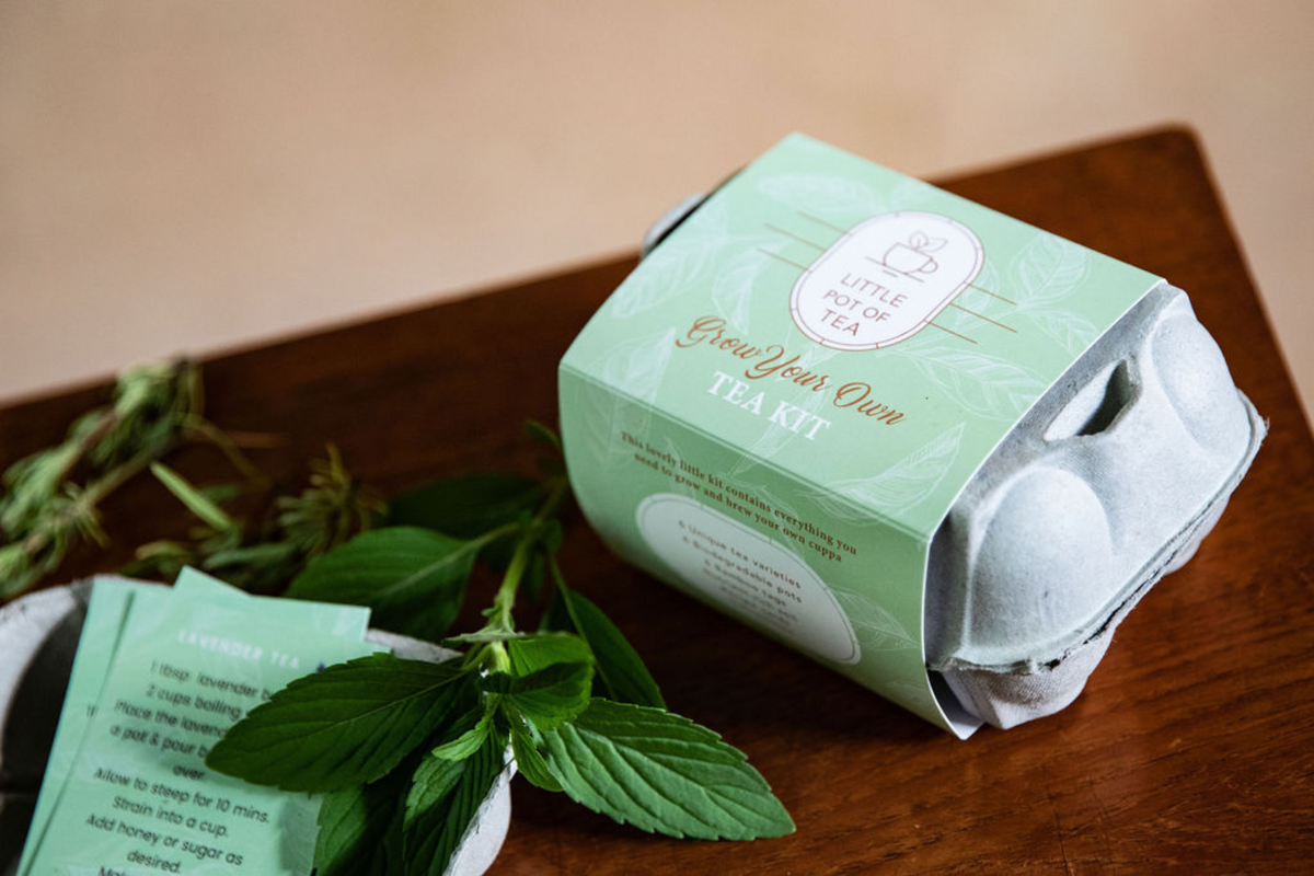 Little Pot of Tea - Grow Your Own Tea Kit – Tales & Tea